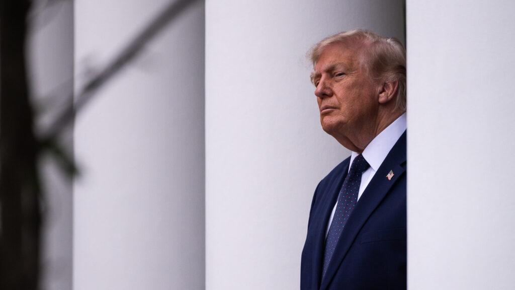 Огляд критики Трампа на адресу союзників НАТО