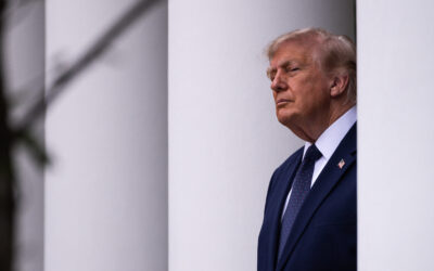 Огляд критики Трампа на адресу союзників НАТО