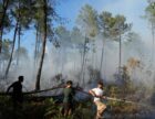 Спекотна хвиля загрожує подальшому поширенню лісових пожеж у Франції та Іспанії