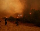 Відео: 300 000 людей евакуюються або ховаються від пожеж у Іспанії та Франції
