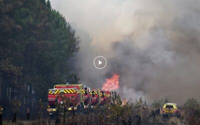 Відео: Боротьба з лісовими пожежами в Європі перед наступною хвилею спеки