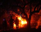 Відео: Франція та Іспанія борються з лісовими пожежами