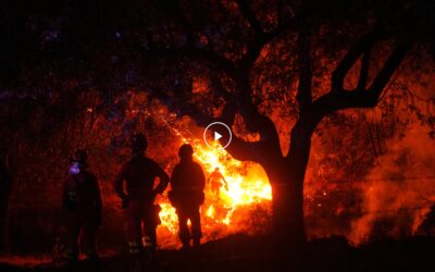 Відео: Франція та Іспанія борються з лісовими пожежами