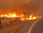 Відео: Кілька загиблих через лісову пожежу на півдні Іспанії