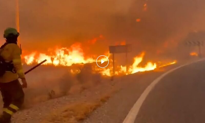 Відео: Кілька загиблих через лісову пожежу на півдні Іспанії