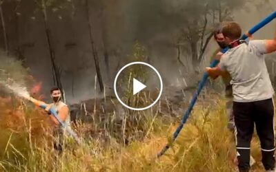 Відео: Місцеві жителі борються з пожежами у Франції, які не вщухають