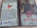 На BestsellerFest у Львові показали пошкоджені вогнем книги з харківського складу, зруйнованого ракетним ударом РФ