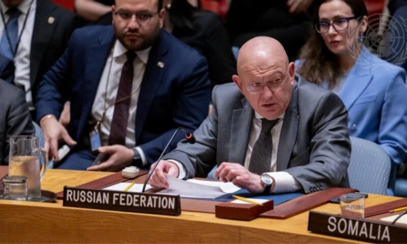 Небензя на засіданні Радбезу ООН висловив невдоволення санкціями України проти творців «Маші та Ведмедя»