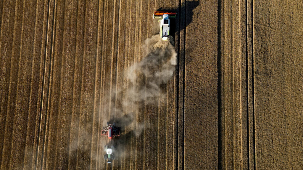 Вартість хліба