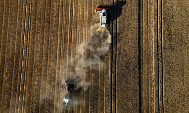 Вартість хліба